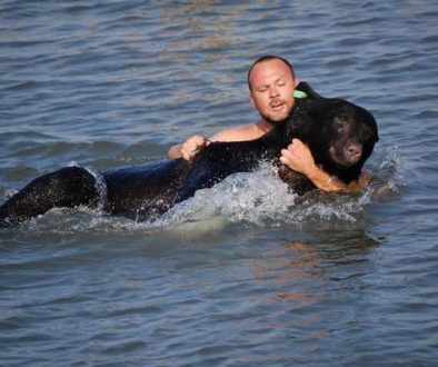 man-in-water-saving-balck-bear