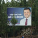 politician-lobo-pedro-little-tree-love-billboard